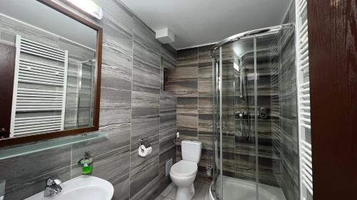 クリシャンにあるPensiunea Pescarul Vanator Delta Dunariiのバスルーム(トイレ、ガラス張りのシャワー付)