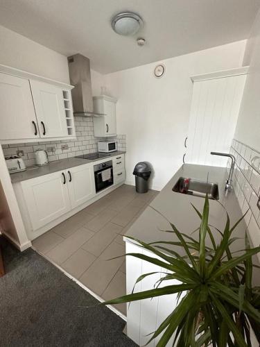 a kitchen with white cabinets and a potted plant at Recently Refurbished Apt central MK FREE PARKING in Milton Keynes