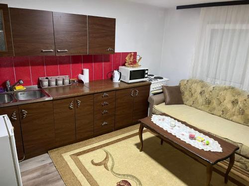 een woonkamer met een bank en een keuken bij Apartman Delfin in Grahovište