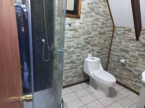 ein Bad mit einem WC und einer Glasdusche in der Unterkunft Donde Coco in Quellón