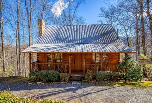 賽維爾維爾的住宿－Secluded Hideaway cabin，木头上的小屋,有锡屋顶
