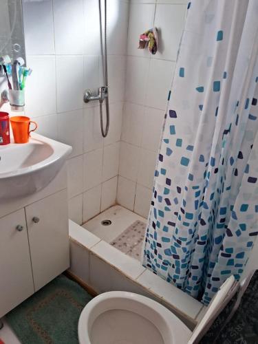 a bathroom with a shower with a toilet and a sink at Casa donde Angy - desde 2 noches in Papudo