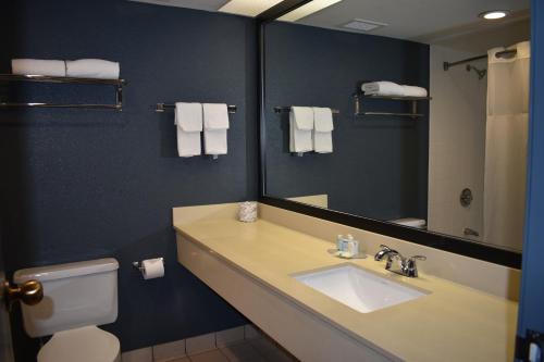 La salle de bains est pourvue d'un lavabo, d'un miroir et de toilettes. dans l'établissement Quality Inn & Suites Garden Of The Gods, à Colorado Springs
