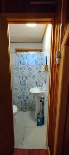 een badkamer met een wastafel en een douchegordijn bij JANICO CABAÑAS in Loncoche