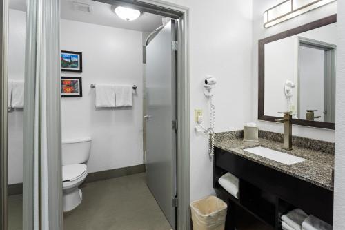 a bathroom with a toilet and a sink and a mirror at Comfort Inn Chandler - Phoenix South I-10 in Chandler