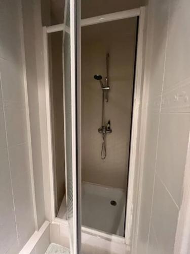 une douche dans une salle de bain avec une porte vitrée dans l'établissement Central Parisian Apartment, à Paris