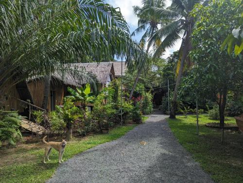 a monkey standing on a gravel road next to a house at Nary Garden in Kampot