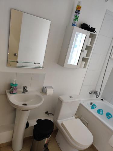 a bathroom with a sink and a toilet and a mirror at casa independiente por días en Punta Arenas in Punta Arenas