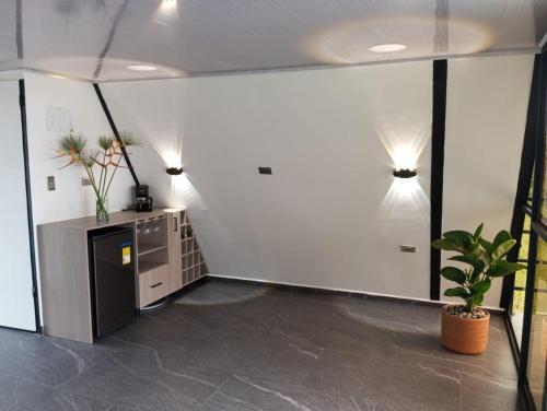 哈爾丁的住宿－De las flores Glamping Alpino，一间空的办公室,里面装有植物