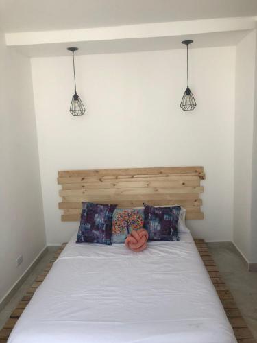 a bedroom with a bed with two pillows at Casa vacacional en ricaute Cundinamarca in Ricaurte