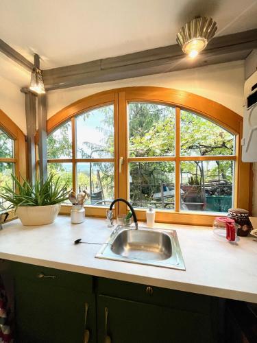 a kitchen with a sink and two windows at Juhfark Apartman Varsádi Wineyard in Somlóvásárhely