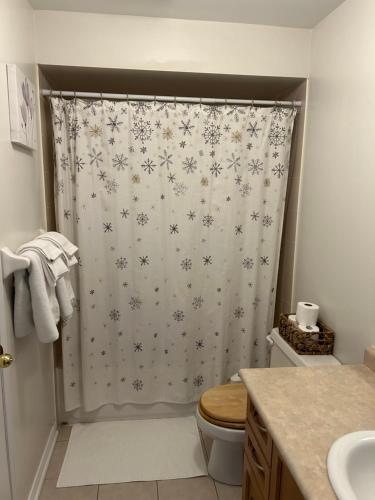 a bathroom with a shower curtain with a toilet at Cozy home in Brampton (Mt pleasant Go station) in Brampton