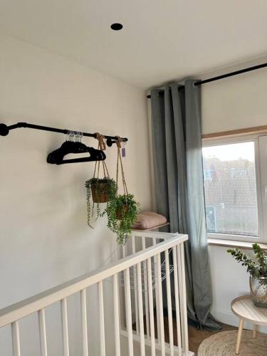 アールスメールにあるTiny House in center Aalsmeer I Close to Schiphol & Amsterdamのギャラリーの写真