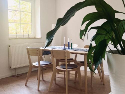 Φωτογραφία από το άλμπουμ του Gemütliche Wohnung nahe Lüneburg direkt am Waldrand - wifi σε Melbeck