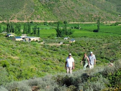 Un paisaje natural cerca de la casa de huéspedes