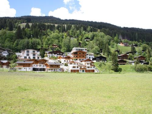 a group of houses on a hill with a field at Apartment in Saalbach-Hinterglemm with sauna in Saalbach-Hinterglemm