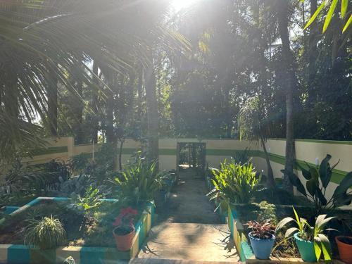 a garden with a bunch of potted plants at VM Residency in Yelagiri