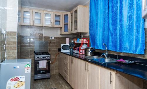 une cuisine avec un évier et un rideau bleu dans l'établissement CastleHomes 1Bedroom Furnished Apartments, à Ruaka
