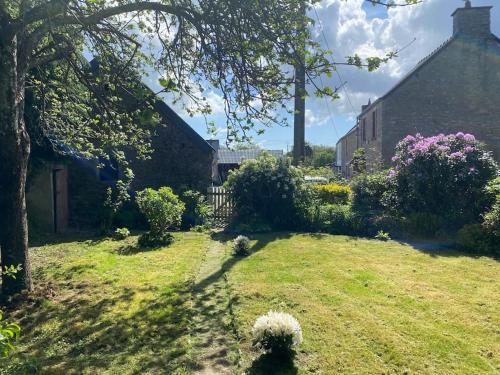 a yard with a tree and a house at Jolie maison à la campagne « Chez Germaine » in Digosville