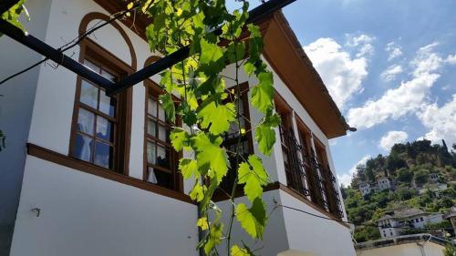 a building with windows on the side of it at Hotel Gjirokastra in Gjirokastër