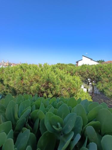 Casa Seppa photo 10