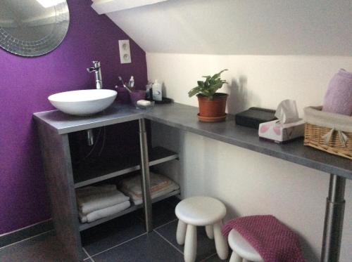 a bathroom with a sink and a counter with a sink at Jardin Des Énigmes in Boissay