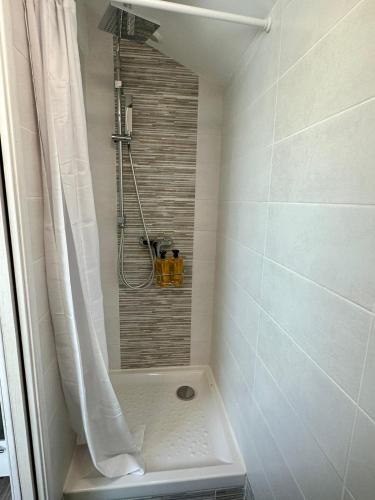 a bathroom with a shower with a shower curtain at La Barbotine - Cosy - Centre ville in Bourg-en-Bresse