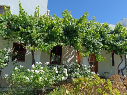 Zahrada ubytování d'Vine Maison