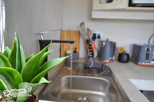 a kitchen sink with a plant sitting next to it at Clarky's Bucketlist in Dullstroom
