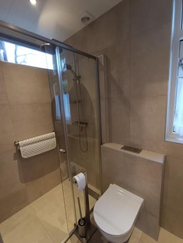 a bathroom with a toilet and a glass shower at Bed and Breakfast Opus 209 in Zwolle
