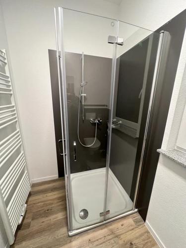 a shower with a glass door in a bathroom at Timeless: 3 Zimmer Maisonette-Wohnung in Villingen-Schwenningen in Villingen-Schwenningen