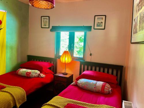 a bedroom with two red beds and a window at Orient House in Exeter