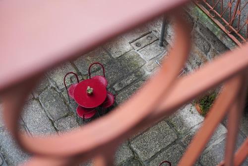 an overhead view of a red flower through a fence at HI Guimaraes - Pousada de Juventude in Guimarães
