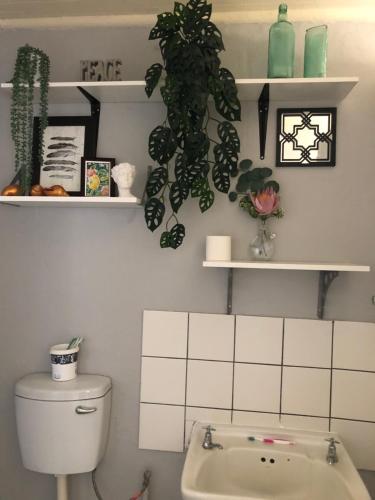 a bathroom with a toilet and shelves with plants at Kieron's Cottage in Lydenburg