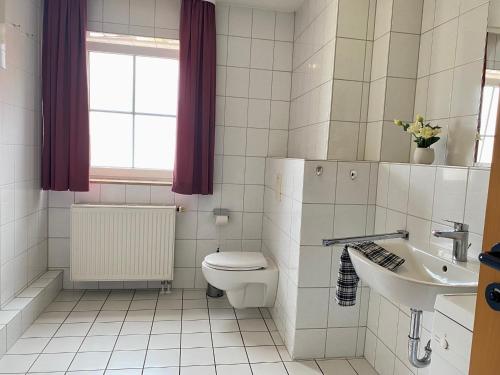 a bathroom with a toilet and a sink and a window at Orth B16 - toller Hafen-und Ostseeblick in Fehmarn