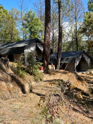 a tent in the middle of a forest at Glampinn Woods in Nainital