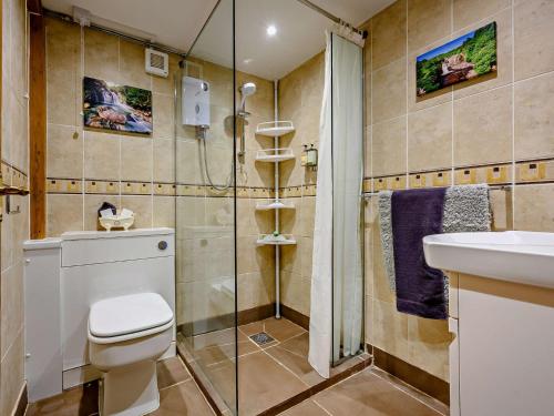 a bathroom with a shower and a toilet and a sink at 2 Bed in Gamblesby 90415 in Kirkoswald