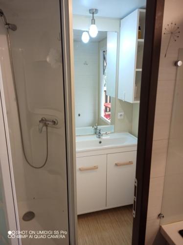 une salle de bain avec douche et lavabo dans l'établissement Chez Monique et Marcel, à Parentis-en-Born