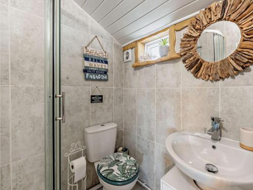 a bathroom with a toilet and a sink and a mirror at 1 Bed in Bideford 90386 in Chapelton
