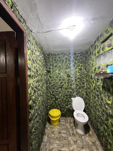 a bathroom with a toilet and a green wall at THE SINGKI HOME FAMILY in Rantepao