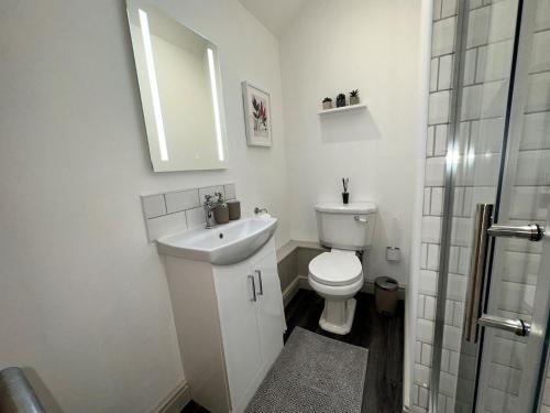 a bathroom with a toilet and a sink and a mirror at 1 Bed in Fakenham 90683 in Fakenham