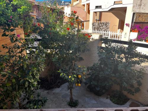 Casa Tina Villasimius – Photos 3