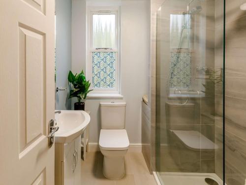 uma casa de banho com um WC, um lavatório e um chuveiro em 3 Bed in Matlock 90663 em Matlock