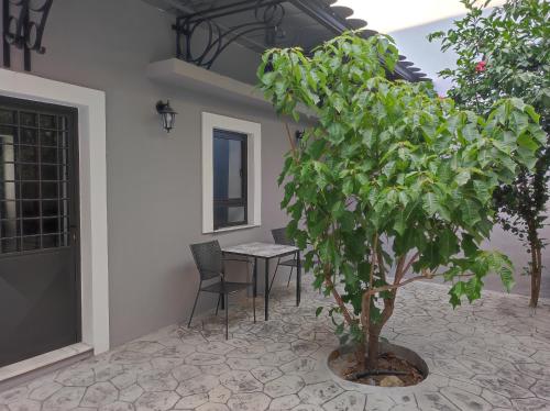 a tree in a courtyard with a table and chairs at Σπίτι στον κήπο in Kalamata