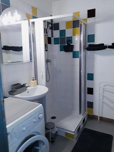 une salle de bain avec douche et machine à laver dans l'établissement Appartement en centre ville, à Argelès-Gazost