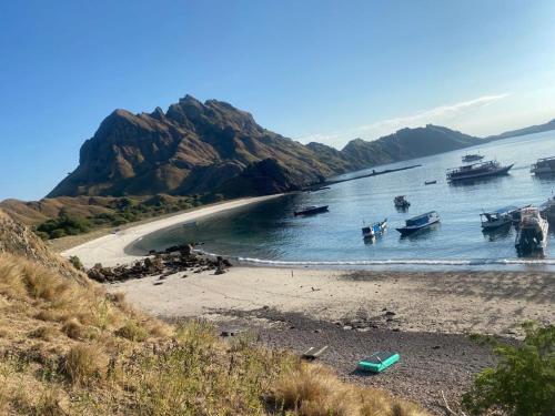 Φωτογραφία από το άλμπουμ του Komodo liveaboard 3 days 2 nights ,2 days 1 night σε Labuan Bajo