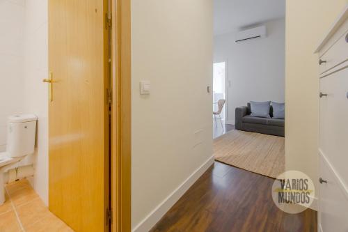 a hallway with a door leading to a living room at New Loft 1hab 3px en plena Plaza de Chueca in Madrid
