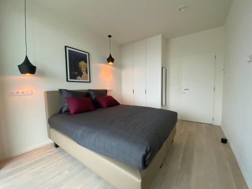 una camera da letto con un grande letto con due cuscini rossi di Casa Aninka a Ostenda