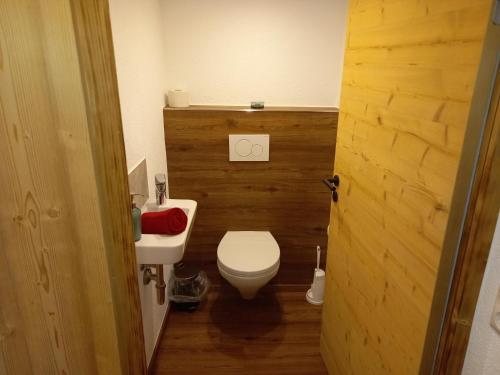 a small bathroom with a toilet and a sink at Hennleiten Hof in Reith bei Kitzbühel