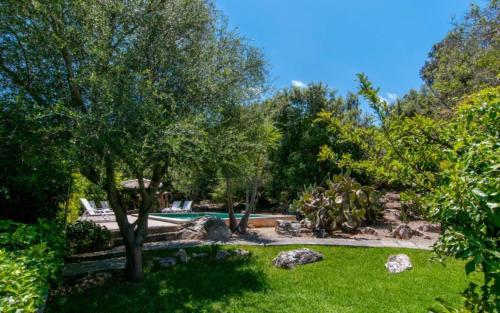 a backyard with a pool and trees and grass at Es Romagueral in Artá